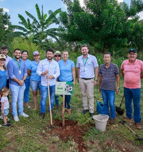 Com apoio da Prefeitura, o Projeto “Reflorestando o Brasil” já plantou mais de 300 mudas de árvores em Maracaju. Saiba mais.