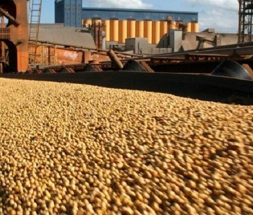 Produtos do agronegócio responderam por 90% das exportações de MS