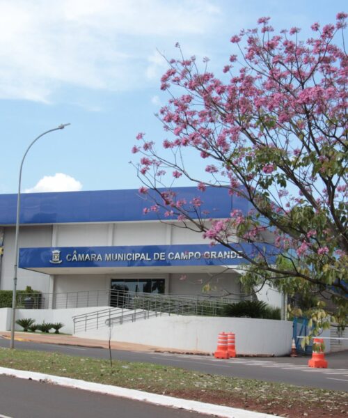 Câmara de Campo Grande repudia atos de vandalismo ocorridos em Brasília