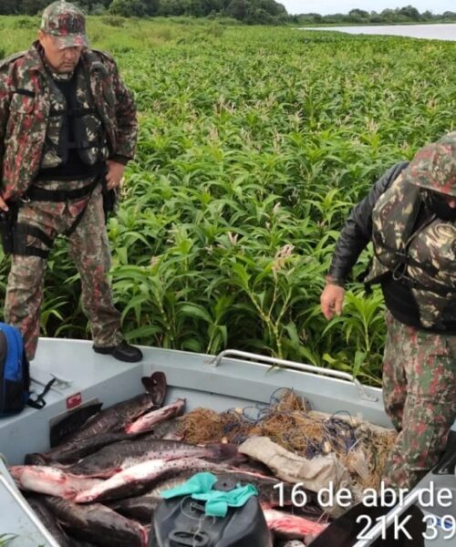 Polícia Militar Ambiental autua 240 pessoas por pesca ilegal, apreende uma tonelada de pescado e aplica R$ 288 mil em multas durante 2022.