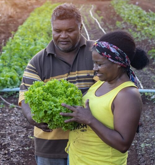 Famílias do campo adquiriram conhecimento e profissionalizaram a produção com ações do Cidade Empreendedora em Maracaju.