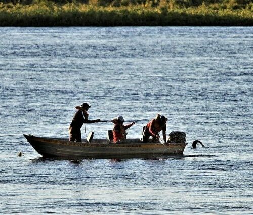 Aberta temporada de pesca, Imasul esclarece regras vigentes em MS e ensina como emitir a Carteira Digital