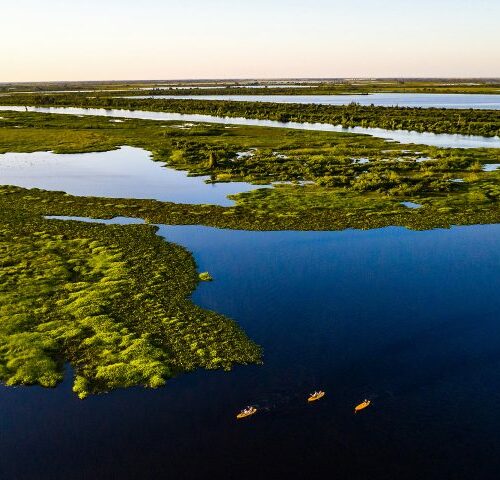 Ações integradas do Governo do Estado garantem redução de incêndios no Pantanal