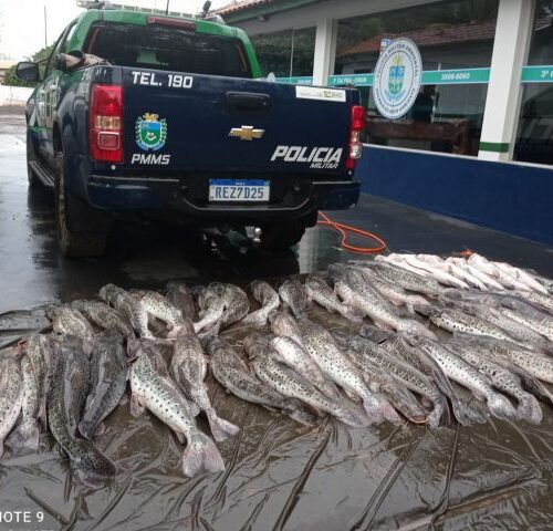 PMA prende 8 por crimes ambientais, apreende 360 kg de pescado e duas aves em extinção