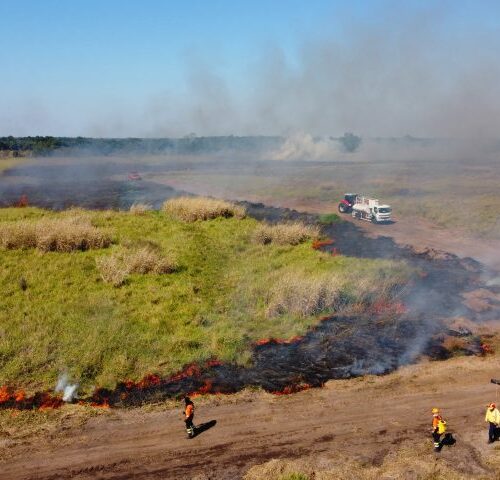 Ação integrada e treinamento contribuem para prevenção de incêndios florestais em MS