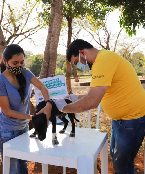 Prefeitura de Maracaju divulga calendário de vacinação antirrábica.