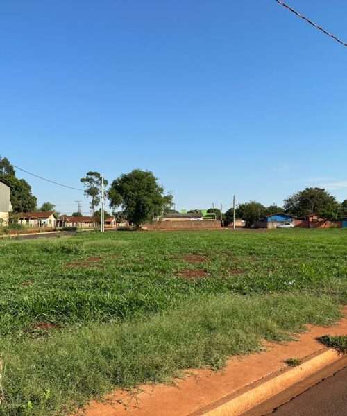 Vereador Gustavo Veterinário destaca a importância da construção de CIEI no Bairro Olidia Rocha.