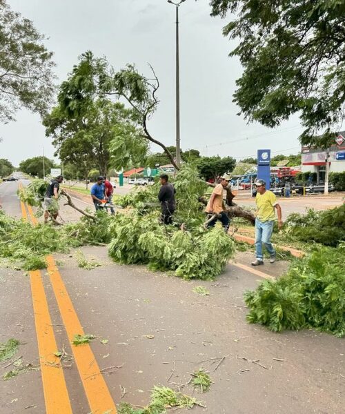 Equipes da secretaria de obras de Jardim atuam rapidamente após forte ventania.