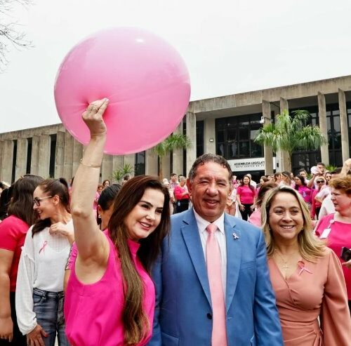 ALEMS abraça Campanha do Outubro Rosa e arrecada kits de beleza