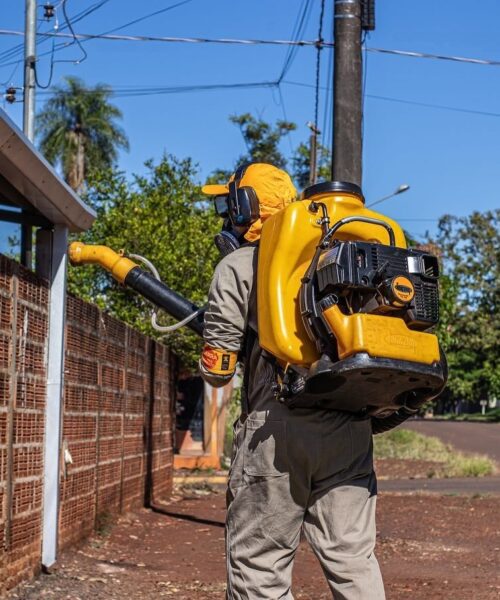 Vista Alegre reduz em mais de 68% os casos de chikungunya após ações de combate ao Aedes aegypti.