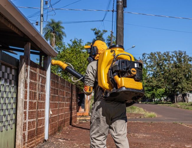 Vista Alegre reduz em mais de 68% os casos de chikungunya após ações de combate ao Aedes aegypti.