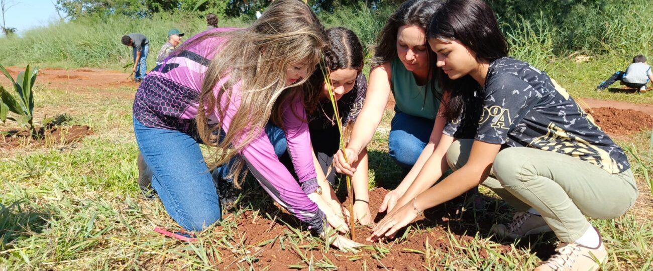 Rio Brilhante dá exemplo de preservação ambiental com maior reflorestamento da história do município