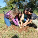 Rio Brilhante dá exemplo de preservação ambiental com maior reflorestamento da história do município