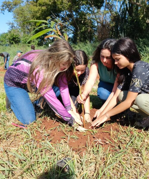Rio Brilhante dá exemplo de preservação ambiental com maior reflorestamento da história do município