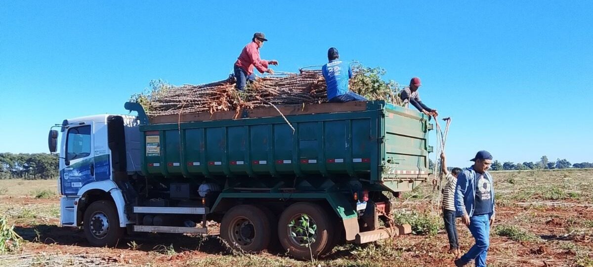 Prefeito Rodrigo Basso fortalece a produção agrícola nas comunidades indígenas, impulsionando segurança alimentar e geração de renda
