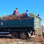 Prefeito Rodrigo Basso fortalece a produção agrícola nas comunidades indígenas, impulsionando segurança alimentar e geração de renda