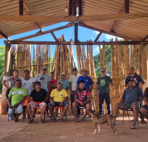 ‘Semenando o Futuro’: projeto refloresta terra Terena, valoriza cultura indígena e garante alimentos