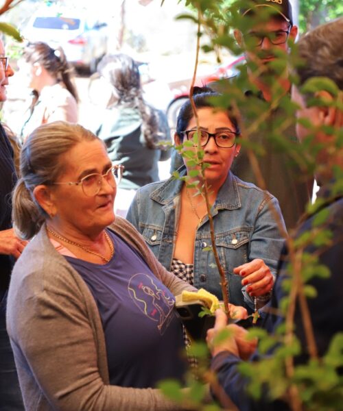 Maracaju celebra o Dia da Árvore com doação de 1.000 mudas e ação de compensação ambiental