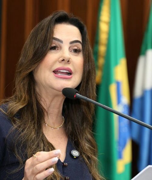 Deputadas debatem projeto do Executivo que propõe a instalação de vídeos nas escolas