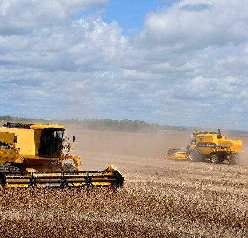 Celeiro para o mundo: MS se consolida como estado exportador de produtos para mais de 120 países