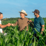 Sicredi continua crescendo e reforça o protagonismo no desenvolvimento sustentável do Brasil