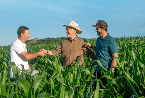Sicredi continua crescendo e reforça o protagonismo no desenvolvimento sustentável do Brasil