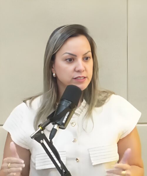 Lívia Dias destaca parceria com o Executivo e faz balanço do mandato na última sessão do ano