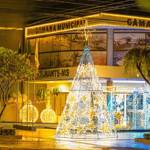 Legislativo de Rio Brilhante acende luzes de Natal e celebra um ano de união e trabalho