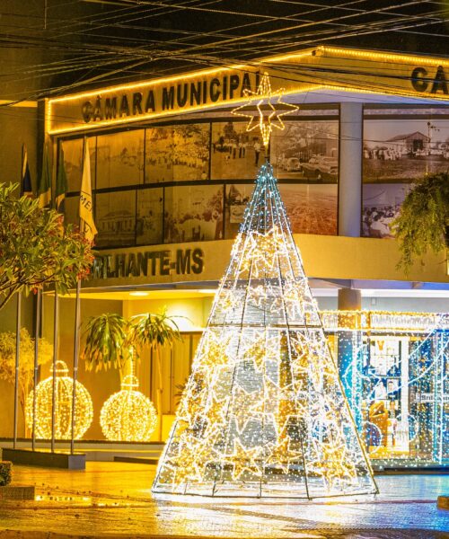 Legislativo de Rio Brilhante acende luzes de Natal e celebra um ano de união e trabalho