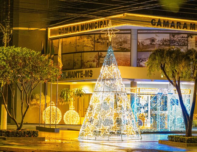 Legislativo de Rio Brilhante acende luzes de Natal e celebra um ano de união e trabalho