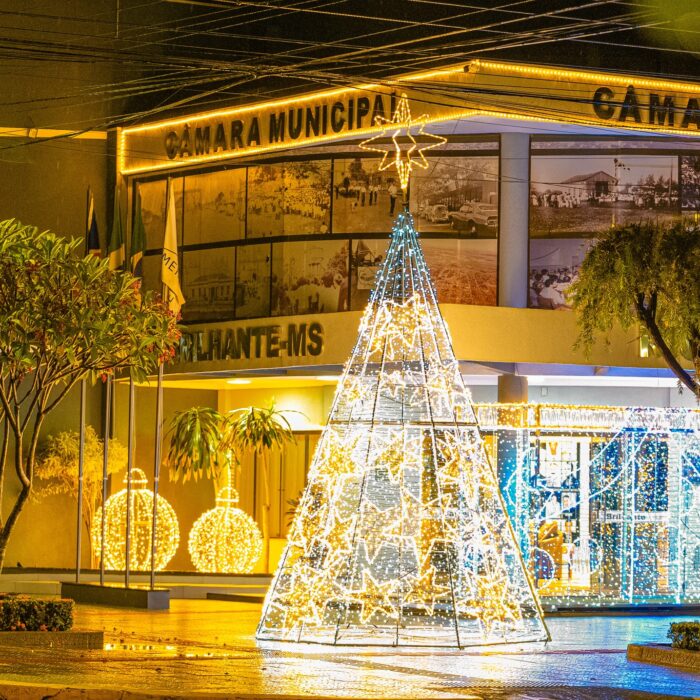 Legislativo de Rio Brilhante acende luzes de Natal e celebra um ano de união e trabalho