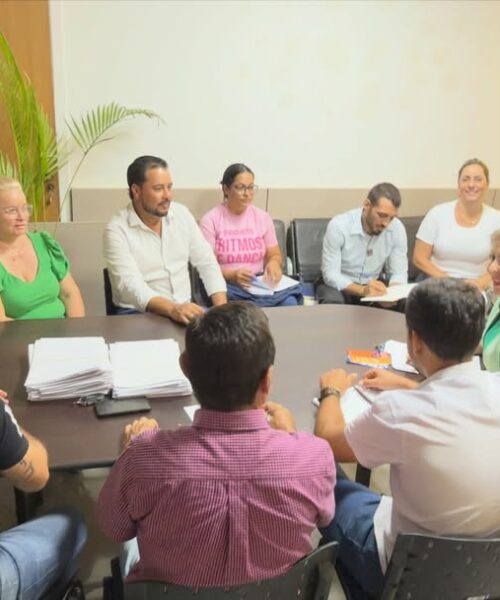 Reunião de alinhamento avalia gestão 2025 e define metas para 2026 em Douradina