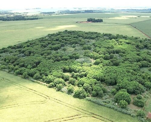 Prefeitura de Maracaju reforça a importância do Licenciamento Ambiental após atualização dos procedimentos.