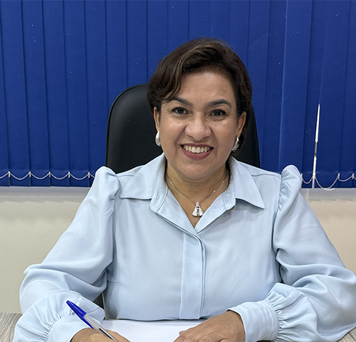 Vereadora Marilsa Bambil solicita manutenção de ponte que liga as vilas Santa Luzia e Panorama