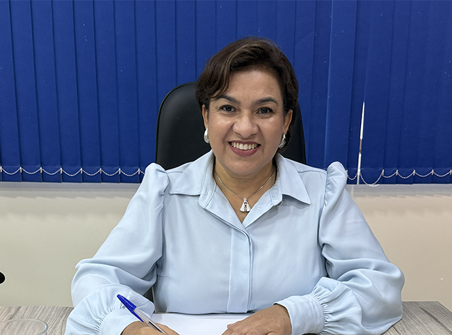 Vereadora Marilsa Bambil solicita manutenção de ponte que liga as vilas Santa Luzia e Panorama