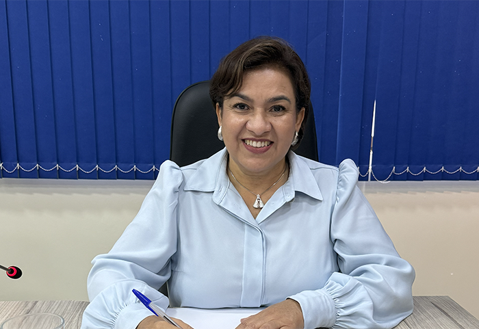 Vereadora Marilsa Bambil solicita manutenção de ponte que liga as vilas Santa Luzia e Panorama