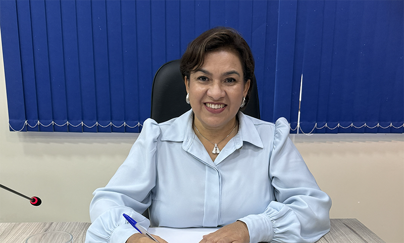 Vereadora Marilsa Bambil solicita manutenção de ponte que liga as vilas Santa Luzia e Panorama